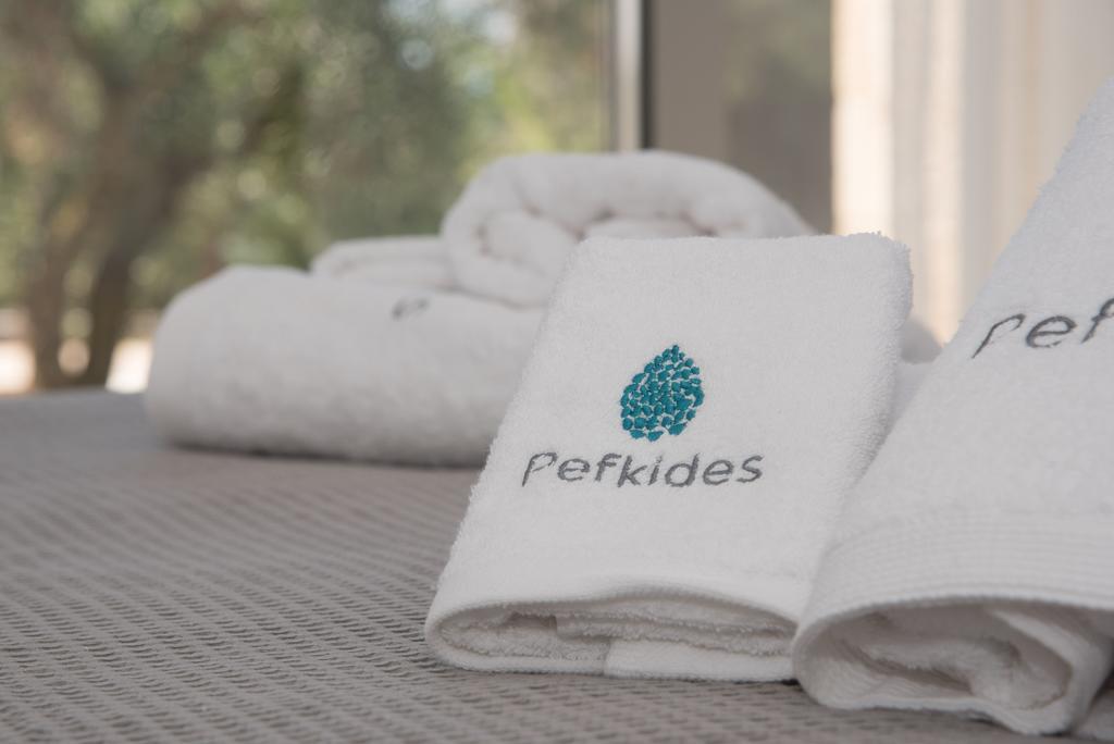 Pefkides Apartment Marathopoli Exterior photo